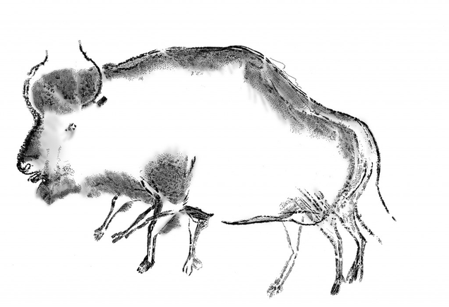 Reproduction of cave art representing a Steppe bison. (Image: Carole Fritz and Gilles Tosello)